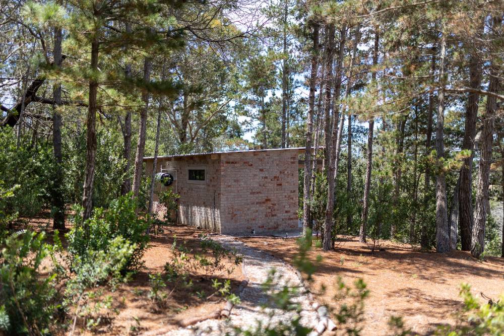 Pine Cabin